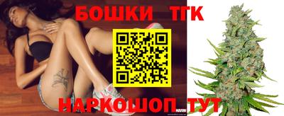 дживик Моздок