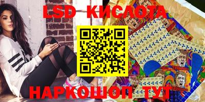 дживик Моздок
