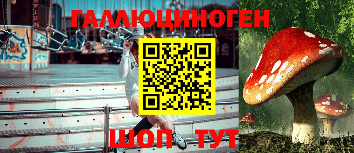 Галлюциногенные грибы GOLDEN TEACHER Горно-Алтайск