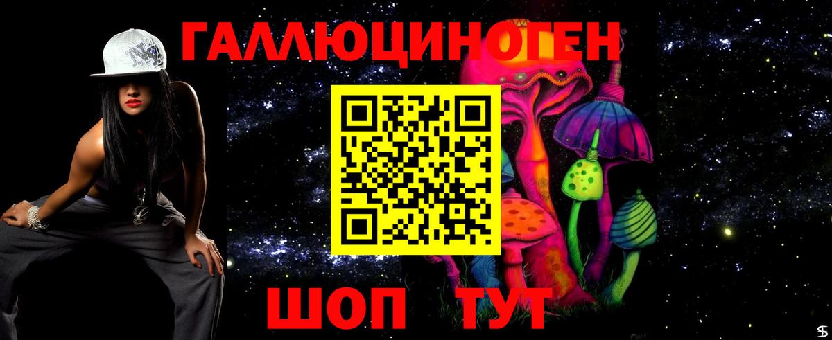 Горно-Алтайск  Галлюциногенные грибы мицелий  Вход с VPN 